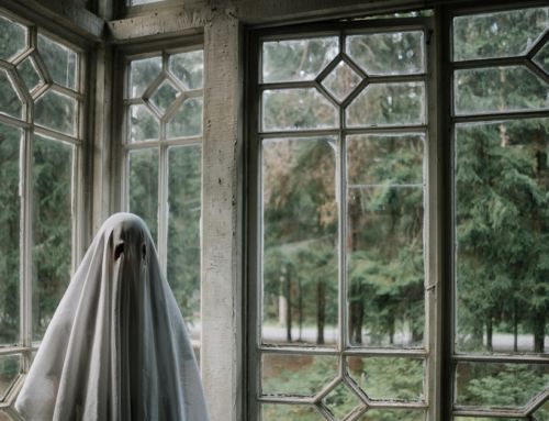 6 Haunted House Books to Read this Summer